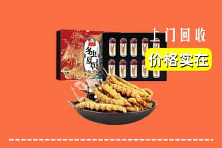 定西市临洮回收冬虫夏草