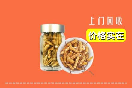 收购资讯:定西市临洮回收散虫草