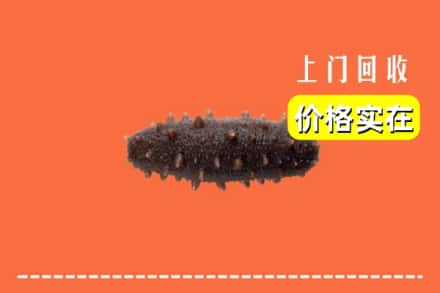 收购资讯:定西市临洮回收海参