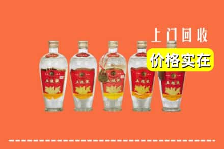 定西市临洮回收老五粮液